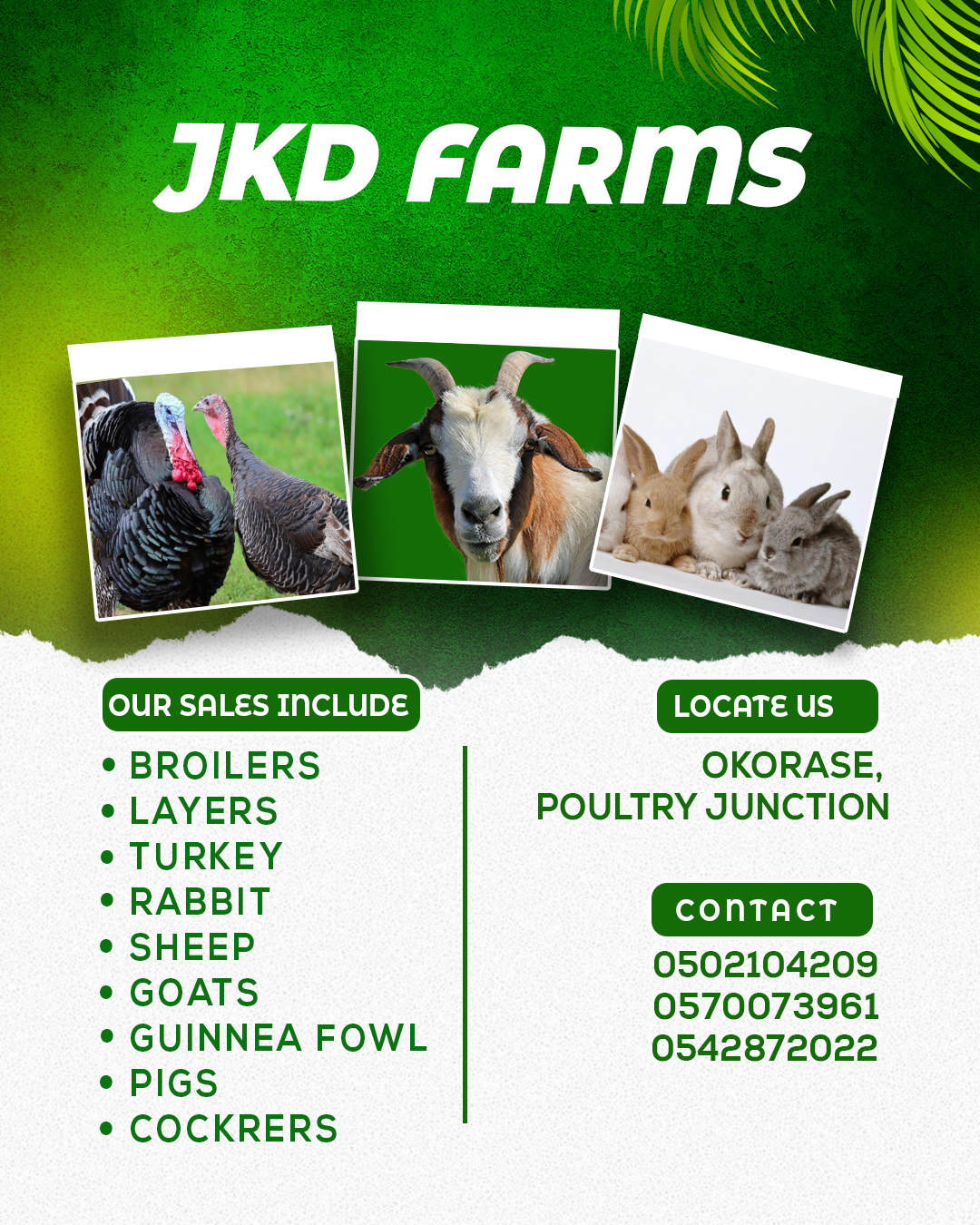 JKD